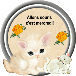 Gif animé allons souris c'est mercredi chats